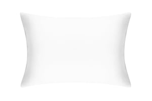 Brilliant White Pure Silk Pillowcase - Standard / Without