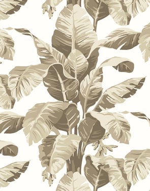 Pacifico Palm' Wallpaper by Nathan Turner - Cappuccino - Traditional / 27 in. x 27 ft.