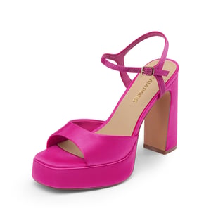 DREAM PAIRS Y2K style Block Heel Platform Sandals