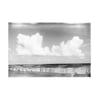 Beach Black + White Photograph
