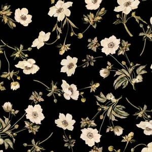 POPPIUM Wallpaper - Ebony