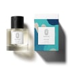 Fernway - 100ml