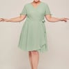 AW Carroll Dress