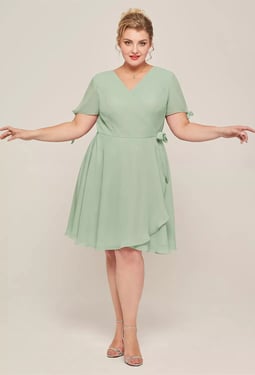 AW Carroll Dress