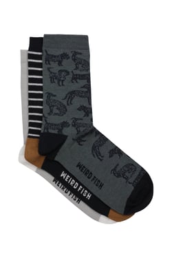 Weird Fish Parade Patterned Socks 3 Pack Dusty Teal Size 4-7