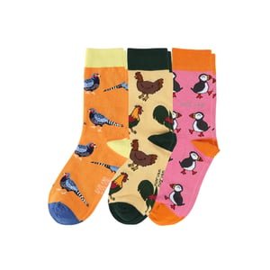 Sunset Bird Bundle of 3 | UK Adult 7-11