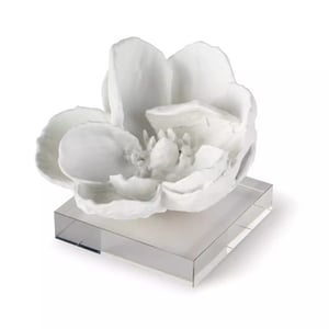 Magnolia Object