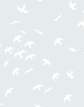 Gulls' Wallpaper by Tea Collection - Fog - Traditional / Sample - 8 x 8 in.
