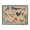 Bird Watcher Charity Doormat - 65x85cm