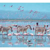 Nakuru Pink Parade_Z