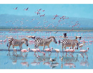 Nakuru Pink Parade_Y