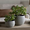 nkuku Laoko Planter | Vases & Planters | Large | Olive Grey
