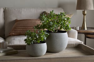 nkuku Laoko Planter | Vases & Planters | Large | Olive Grey