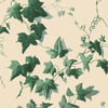 HEDERA Wallpaper - Viridian