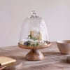 nkuku Kannati Mango Wood & Glass Cheese Stand | Serveware | One Size | Clear