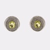 AKIRA Ray Earrings