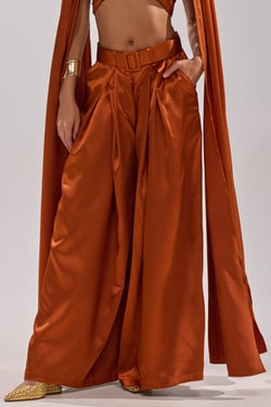 AKIRA All We Ever Knew Trouser Pants | Size 1X