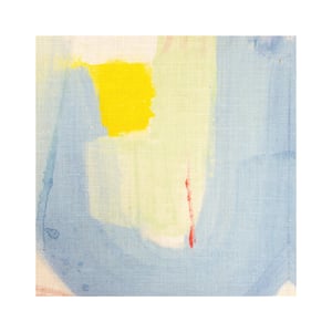 Seventeen Fabric