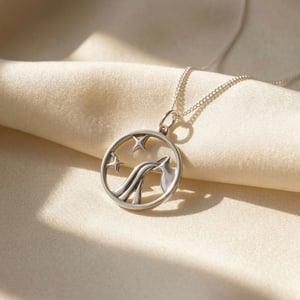 Aquarius Zodiac Horoscope Charm Silver Necklace