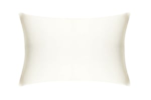 Cream Pure Silk Pillowcase - Standard / Without