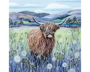 Scottish Cow