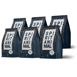 ESPRESSO BLEND 6-PACK - 4.5LB