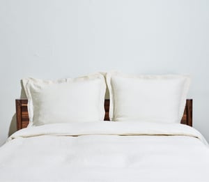 Softexture Pillow Sham - Euro / Ivory