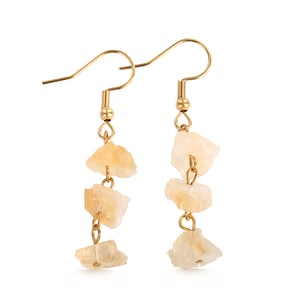 Jeulia "Promotion of Happiness" Natural Citrine Drop Earrings