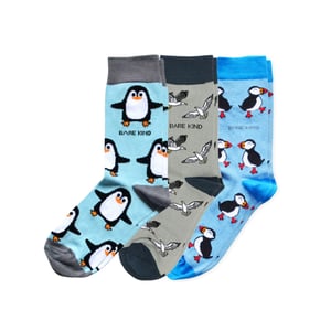 The Seabird Bundle of 3 | UK Adult 7-11