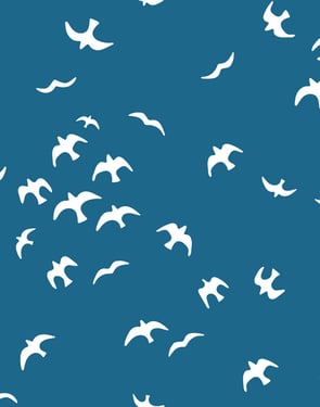 Gulls' Wallpaper by Tea Collection - Cadet Blue - Traditional / 27 in. x 27 ft.
