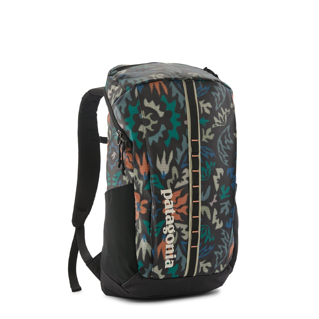 Patagonia Black Hole Pack 25L Kaleido Black