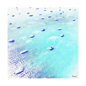 Anguilla Photograph