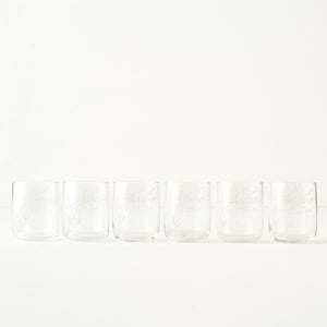 Exclusive Floral Etched Tumbler (Set of 6)