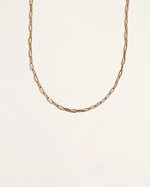 Paperclip Chain - 22"