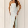 Iconic Influence Strapless Mesh Maxi Dress Mint