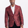 Robert Graham Limited Edition Monarch's Writ Blazer