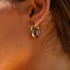 Fluid Form Earrings Gold