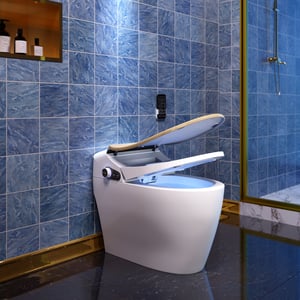 Set of Two Modern Smart Toilet 1.28 GPF Floor Mounted Elongated Toilet and Bidet Seat