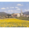 Sunflowers', Provence