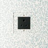 Lucian perspex 5A socket in clear perspex with black inserts