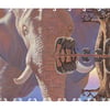 Elephant Reflections - Extra Difficult_MDW