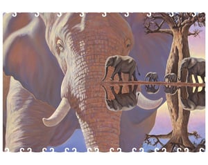 Elephant Reflections - Extra Difficult_MDT
