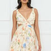 Florals In Spring Mini Dress Print