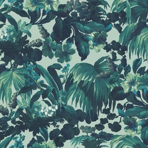 LIMERENCE Wallpaper - Galapagos