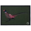 Pheasant Green Outdoor Doormat - 50x75cm