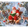 Christmas Curiosity