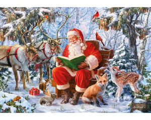 Christmas Curiosity