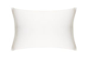 Ivory Pure Silk Pillowcase - Standard / Without