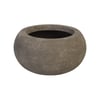 Elaine Planter