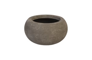 Elaine Planter